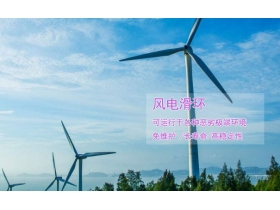 如何延長(zhǎng)風(fēng)力發(fā)電機(jī)的滑環(huán)壽命